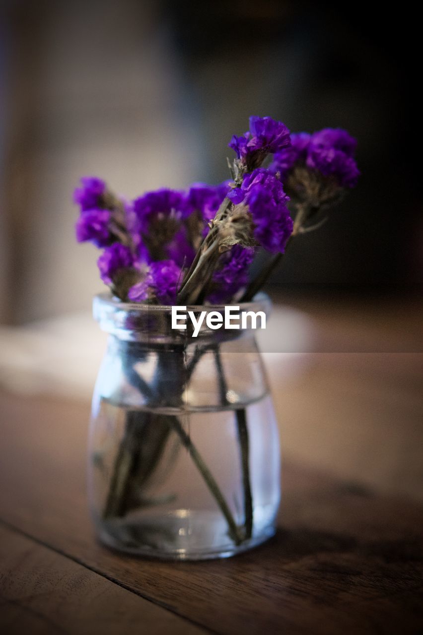 Close-up of purple flower in vase on table