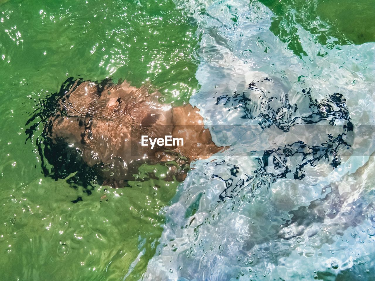 Man swimming in pool