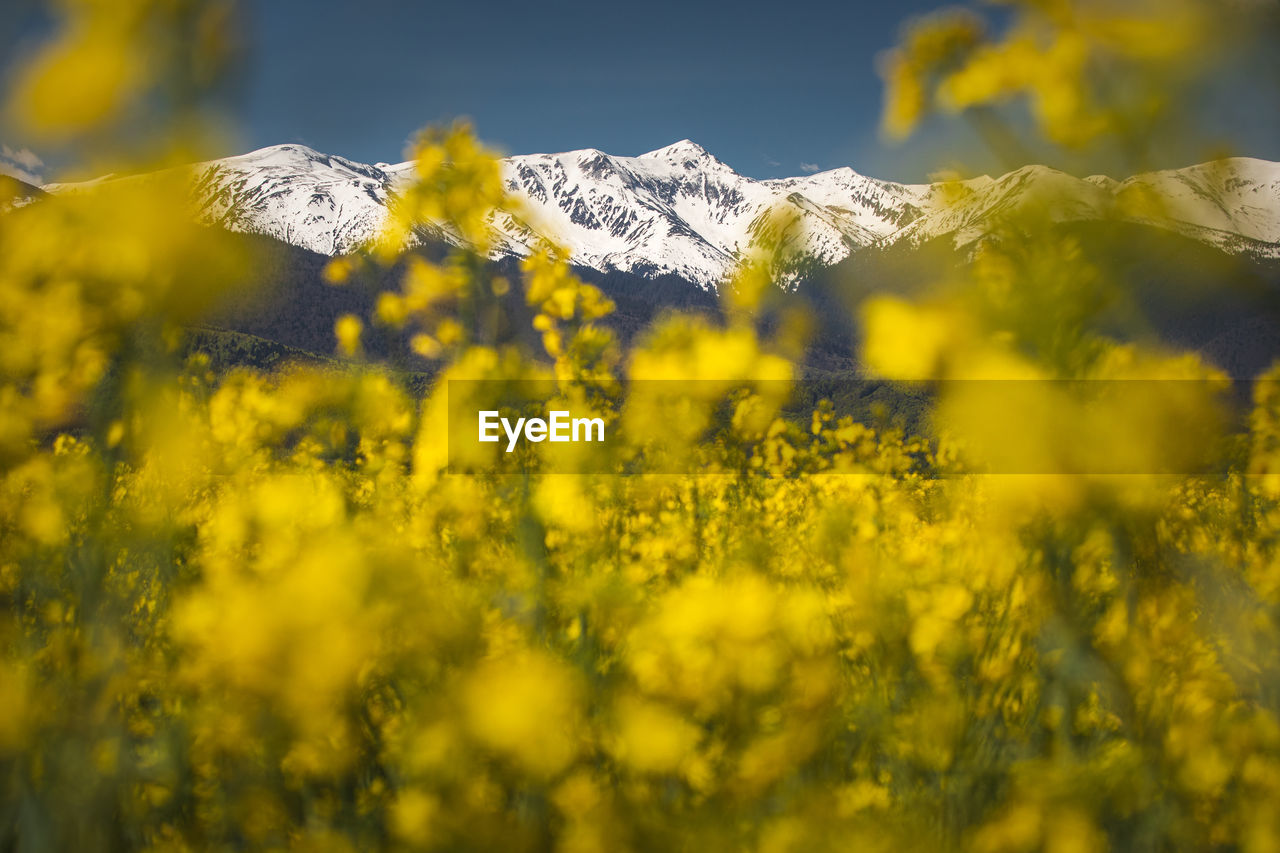 Landscape with the beauty of spring season in the mountain area.