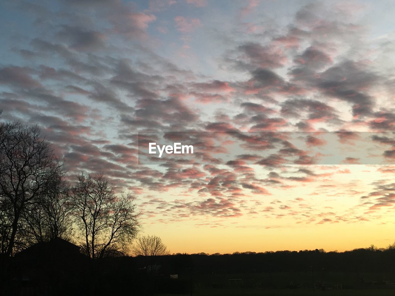 SILHOUETTE TREE AGAINST SKY DURING SUNSET