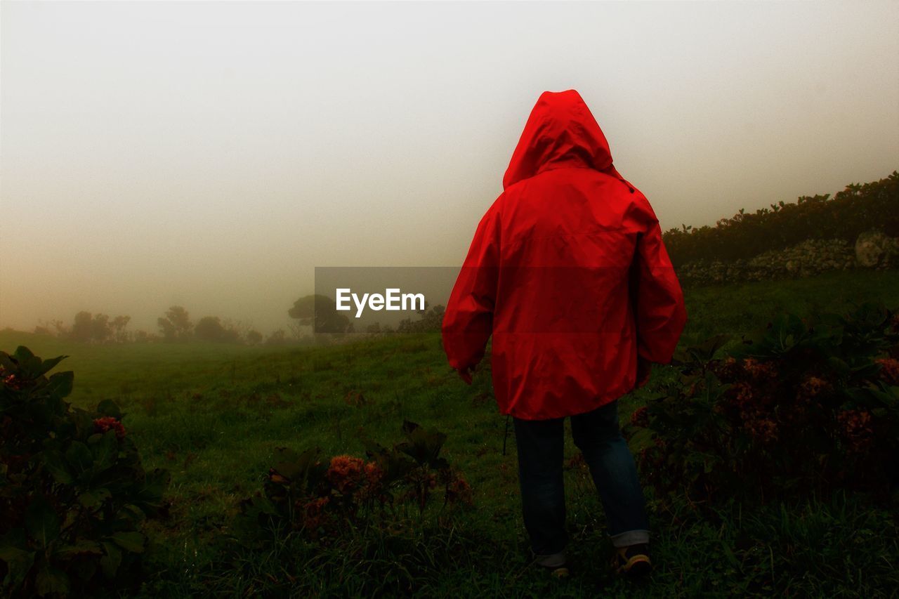 REAR VIEW OF WOMAN WITH RED UMBRELLA AGAINST TREES