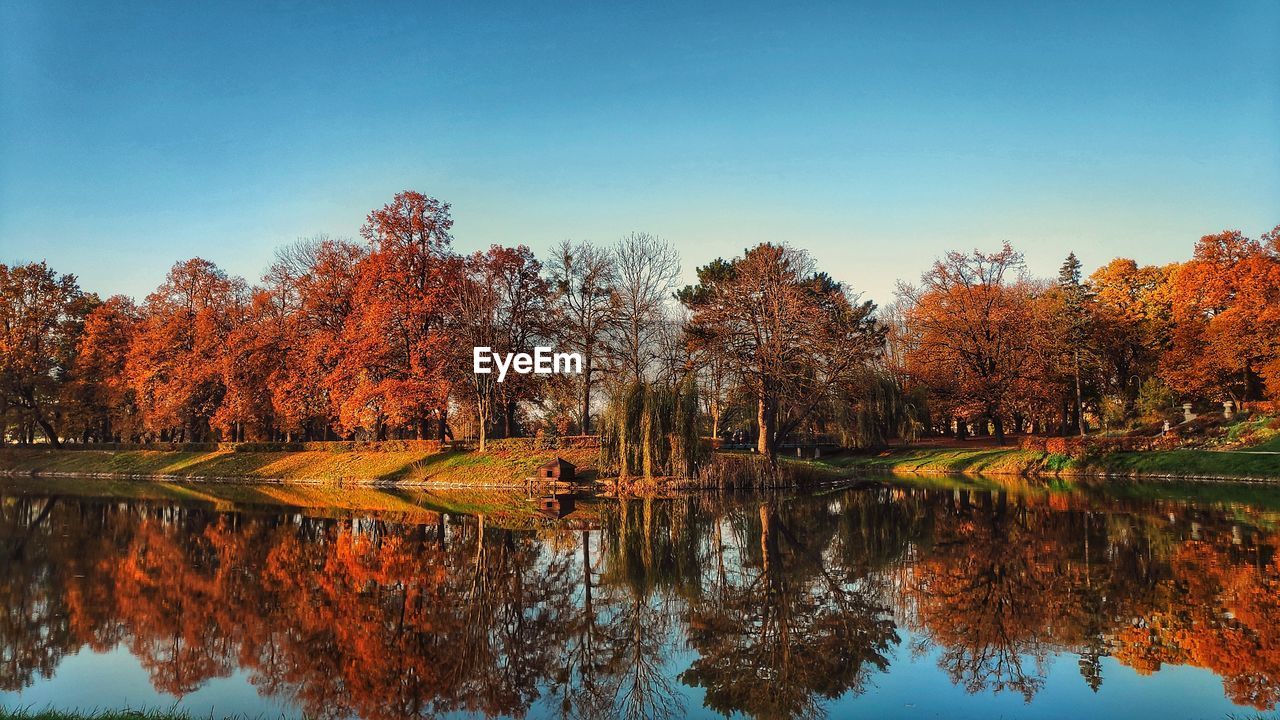 REFLECTION OF TREES ON LAKE DURING AUTUMN