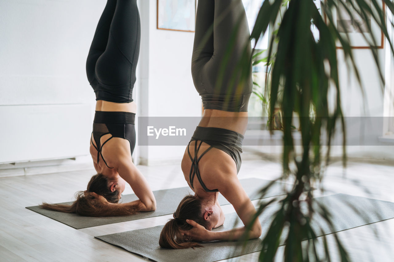 Young fit women practice yoga doing headstand sirshasana in a yoga studio