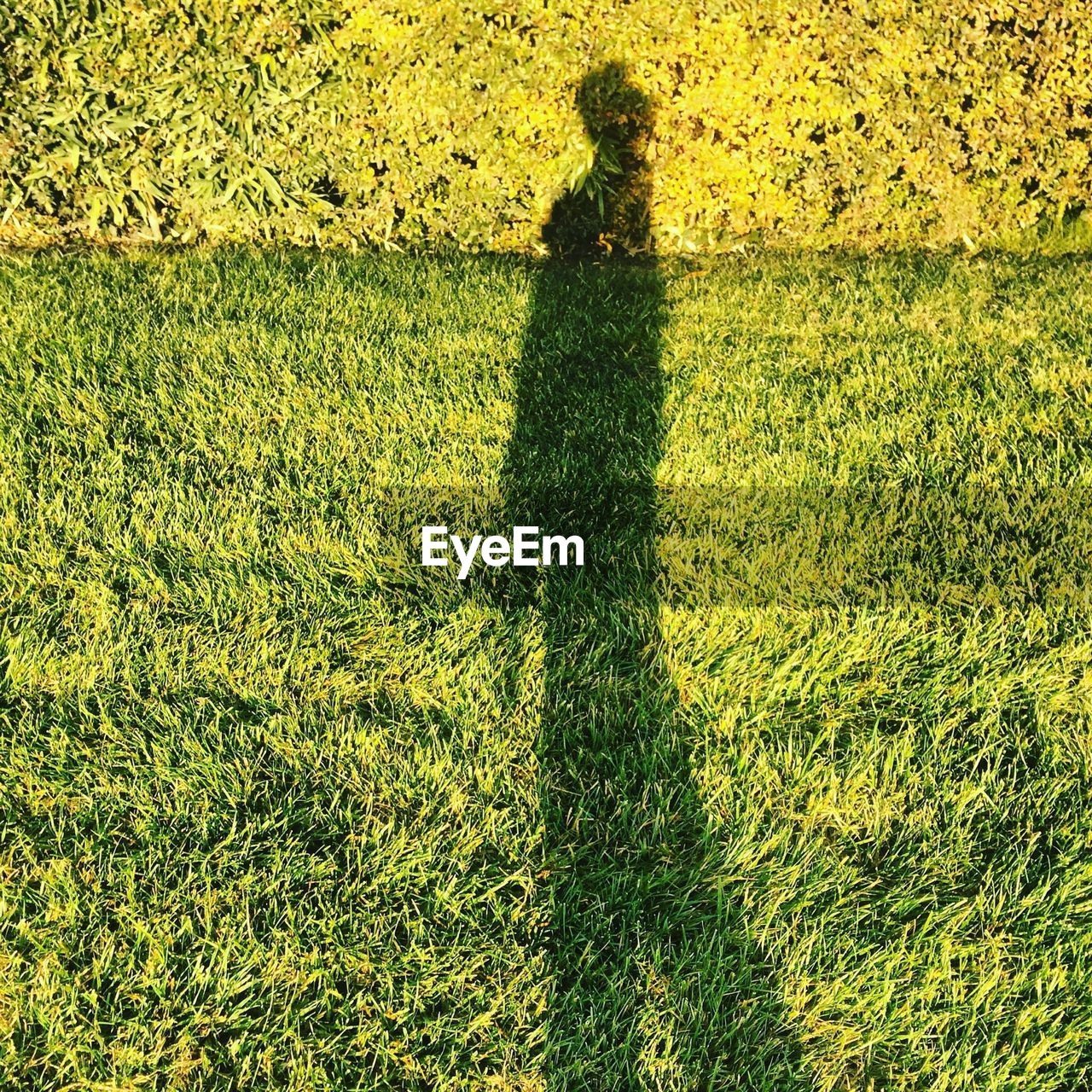 Shadow of woman on grassy field