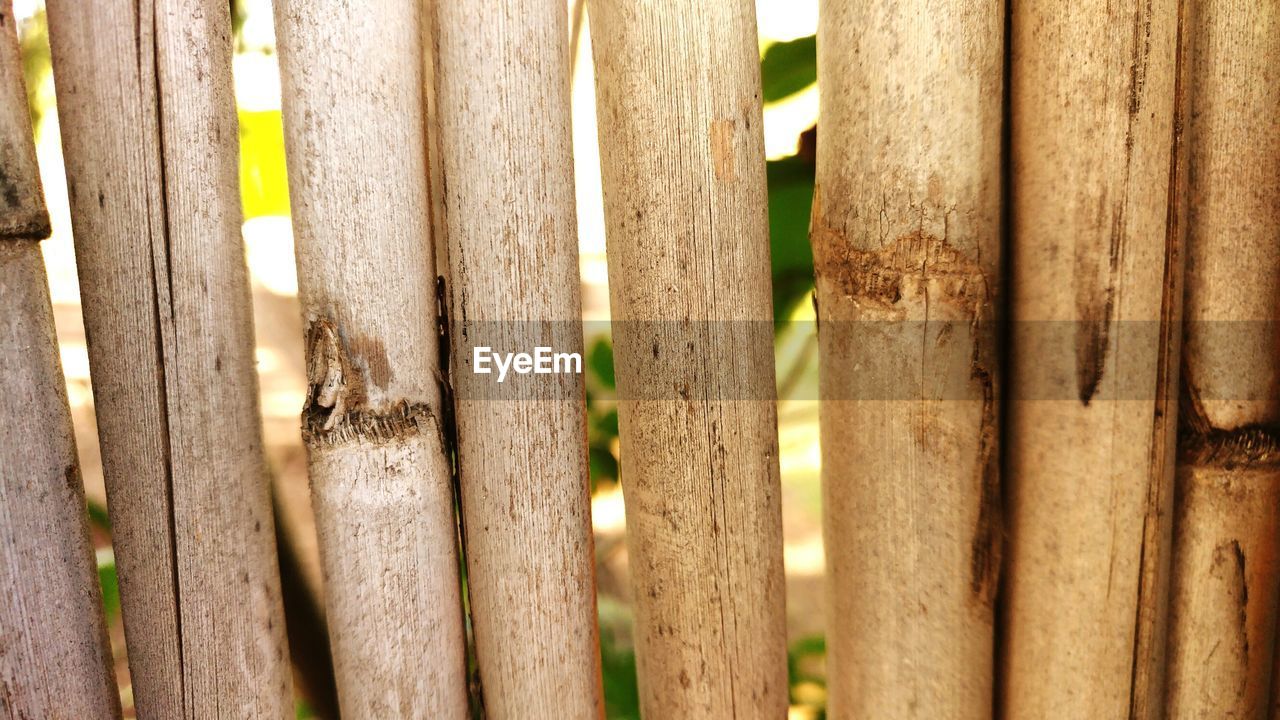 Full frame shot of bamboo fence