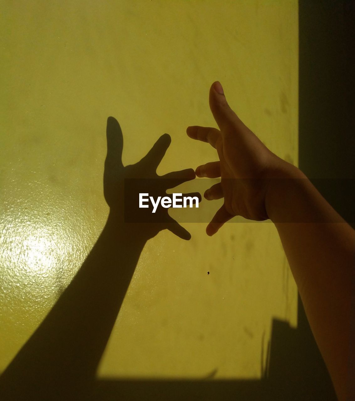 SHADOW OF PERSON HOLDING HANDS AGAINST WALL