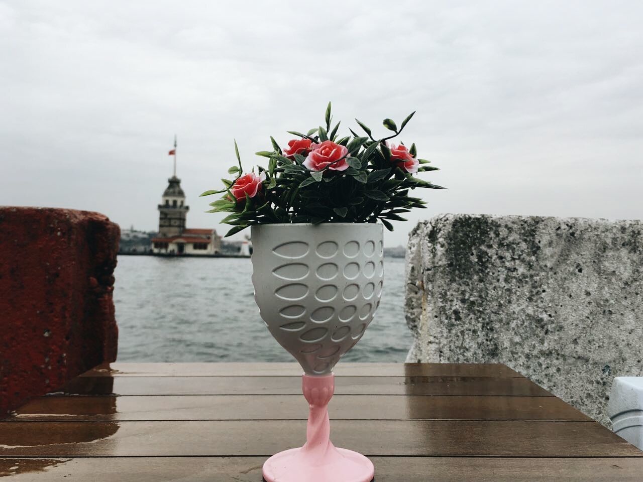 CLOSE-UP OF FLOWER AGAINST SEA