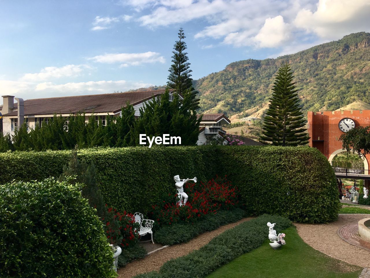 TREES AND PLANTS GROWING OUTSIDE BUILDING