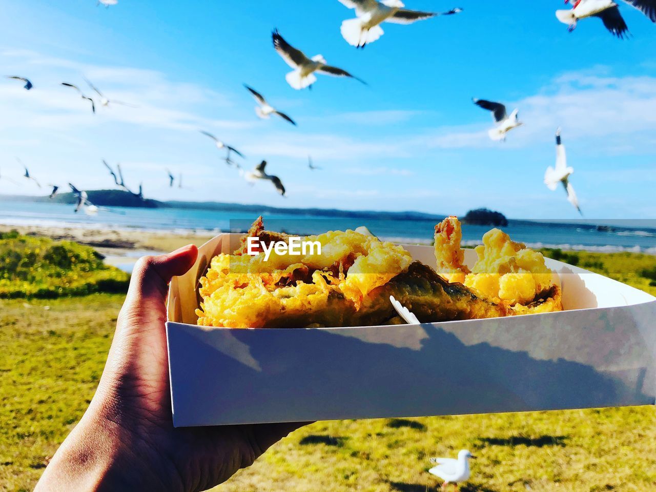 View of hand holding food against birds flying over sea