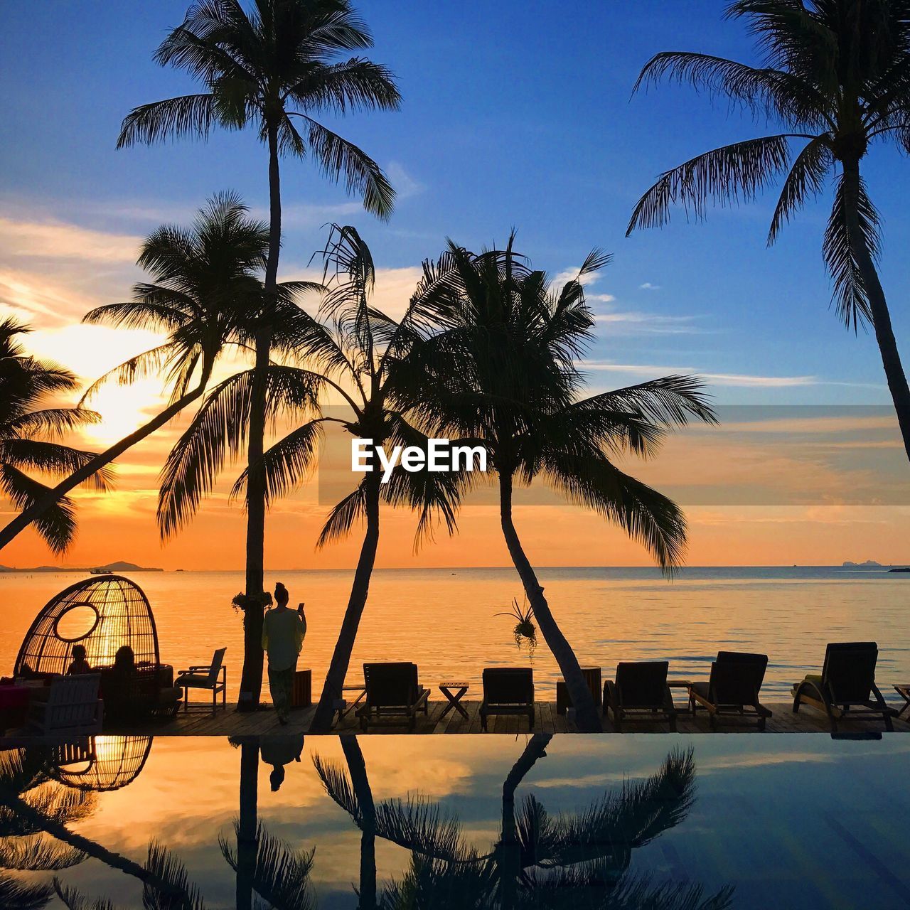 PALM TREES BY SWIMMING POOL AGAINST SKY DURING SUNSET