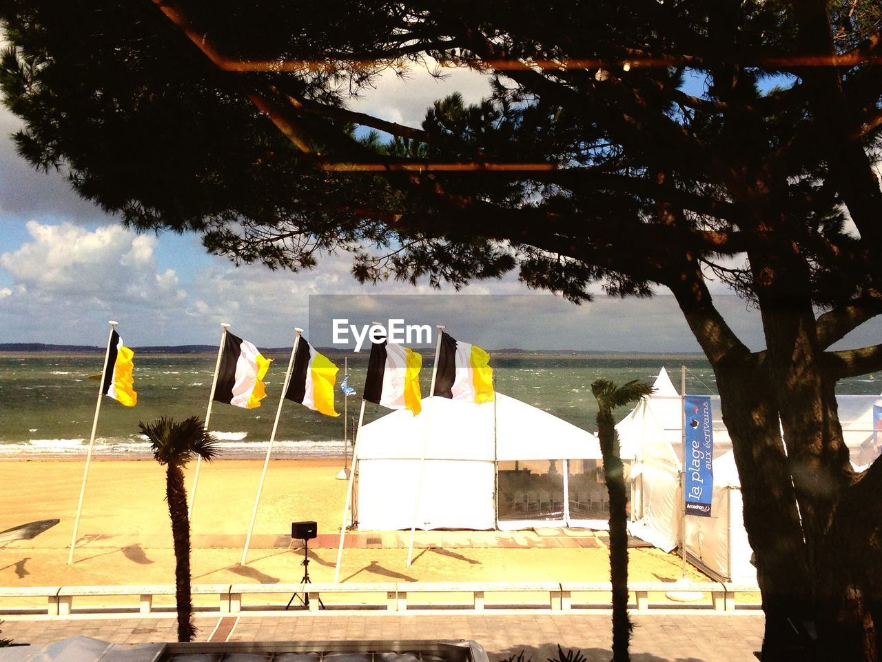 VIEW OF TREES BY SEA