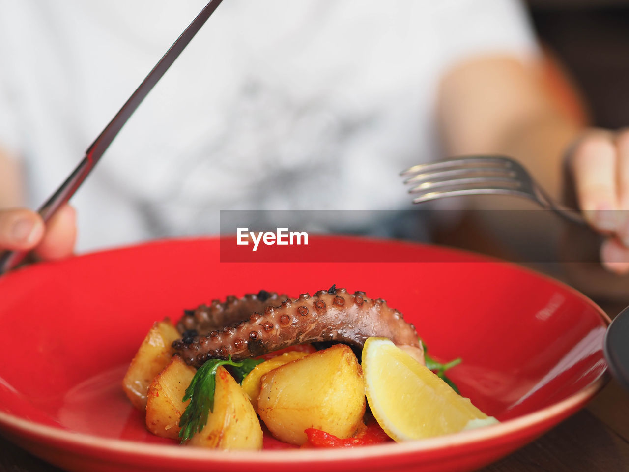 Close-up of hand holding knife and fork near red plate with octopus and potatoes dishes 