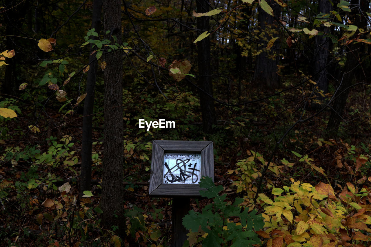 INFORMATION SIGN ON TREE IN FOREST