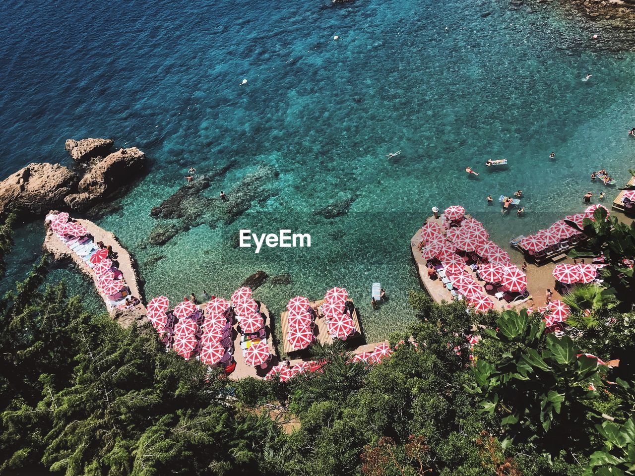 HIGH ANGLE VIEW OF PINK FLOWERS IN SEA