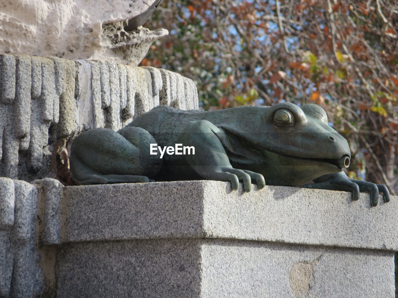 SIDE VIEW OF A REPTILE AGAINST WALL