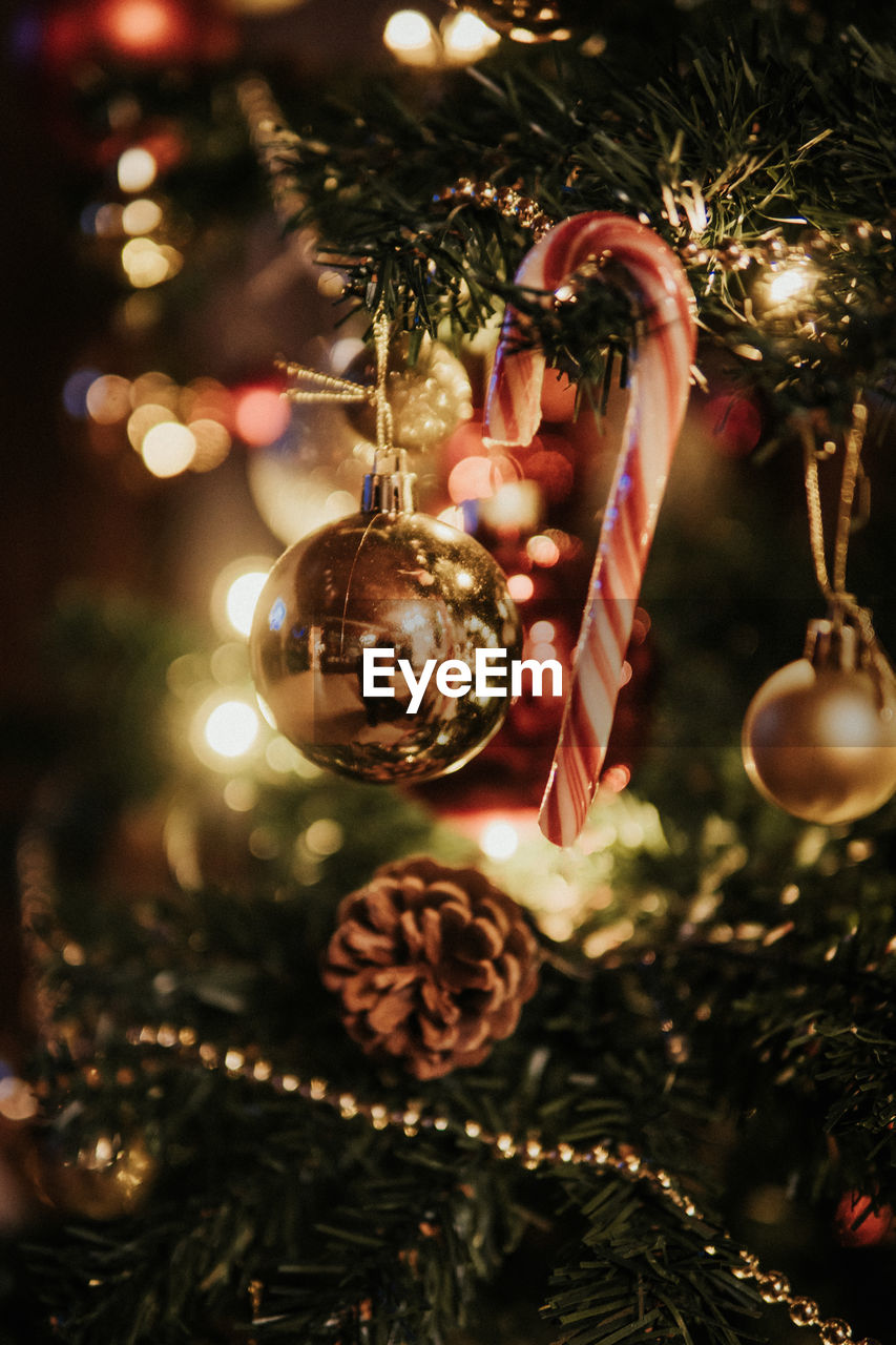 Close-up of christmas decorations hanging on tree