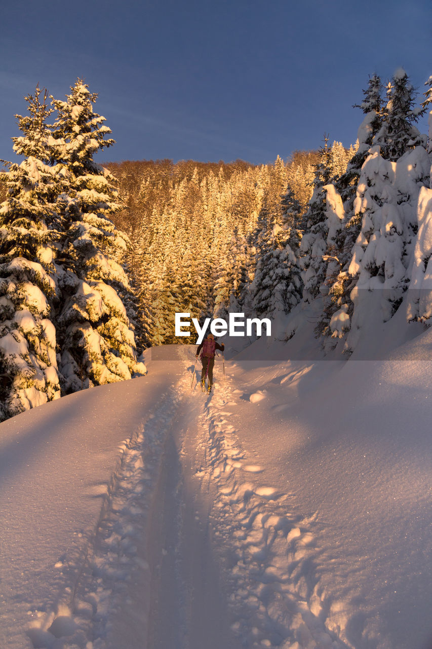 MAN WALKING ON SNOW COVERED LANDSCAPE
