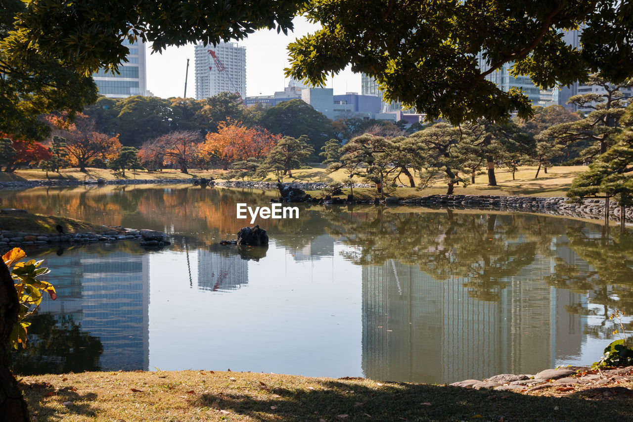 Reflection of trees and buildings on lake