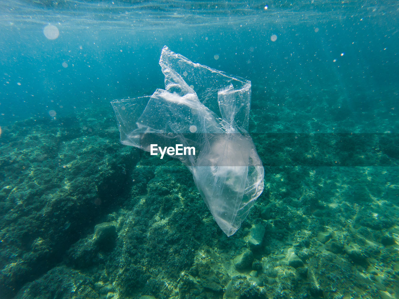 Close-up of plastic in sea