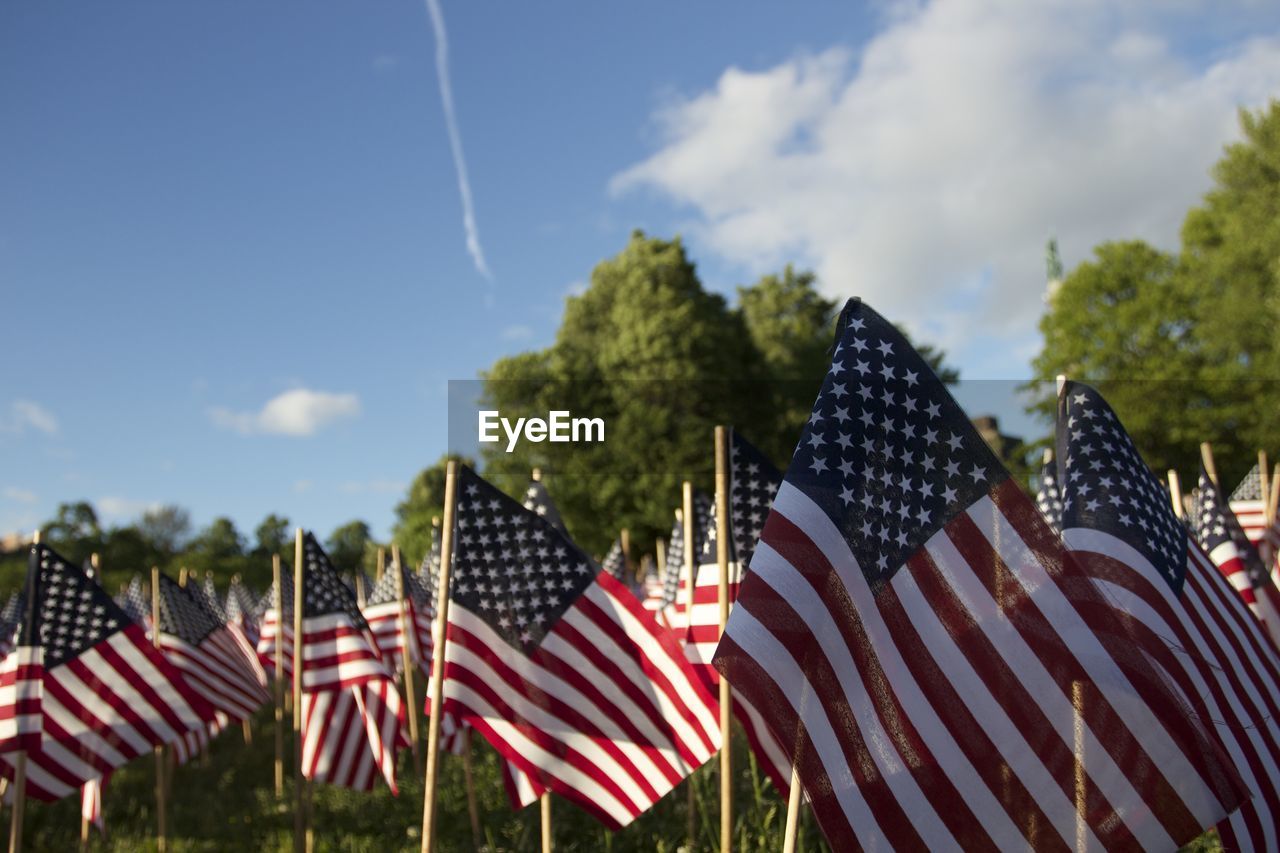 Low angle view of flags against sky