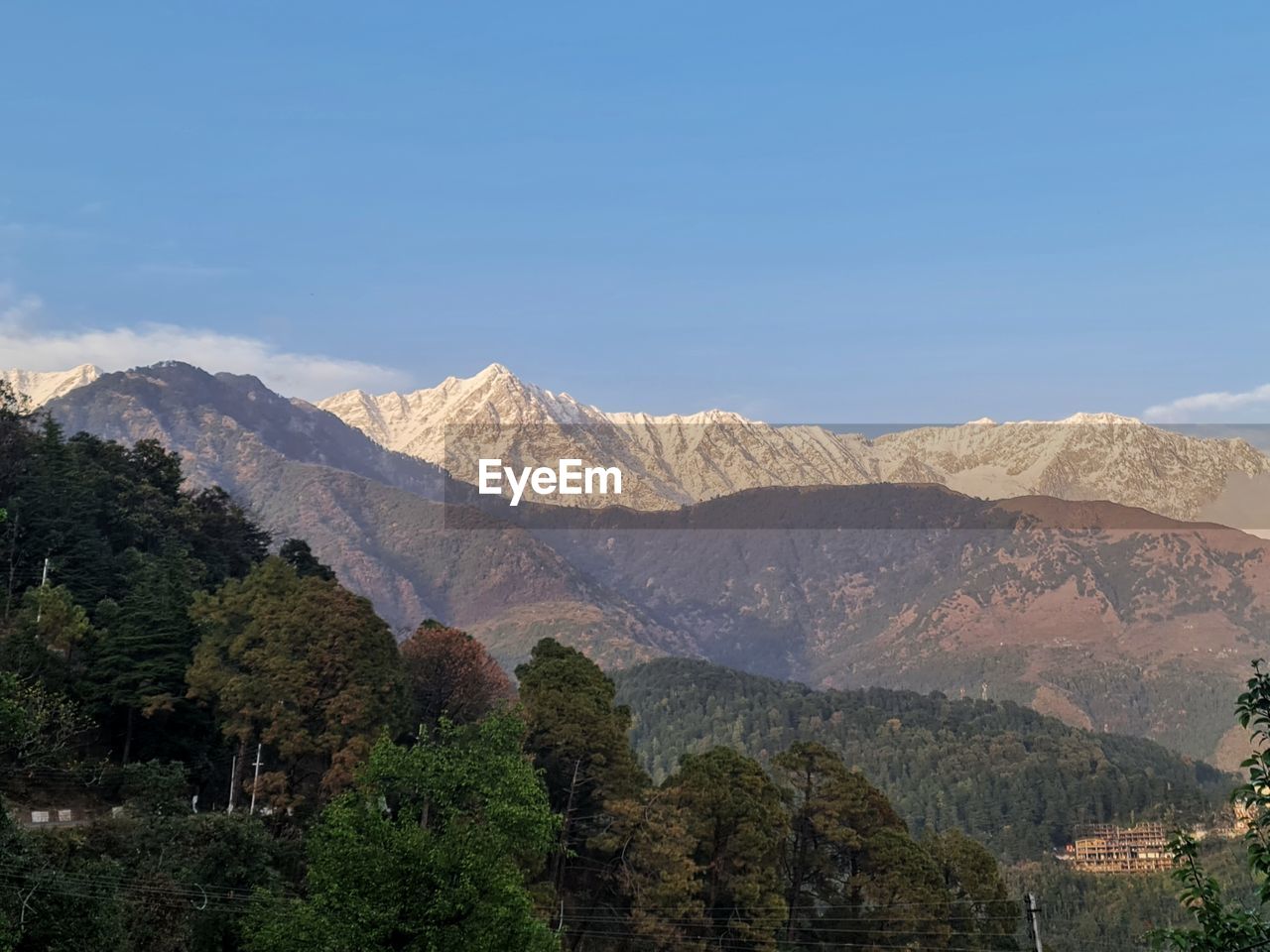 SCENIC VIEW OF TREES AND MOUNTAINS AGAINST SKY