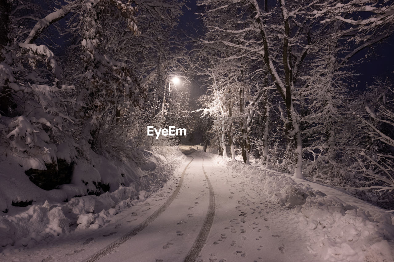 SNOW COVERED ROAD AMIDST TREES IN CITY