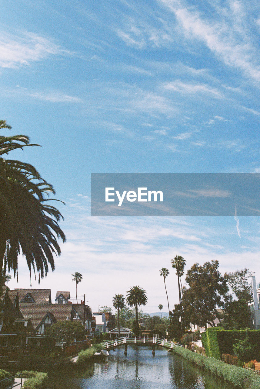 Palm trees by river against sky