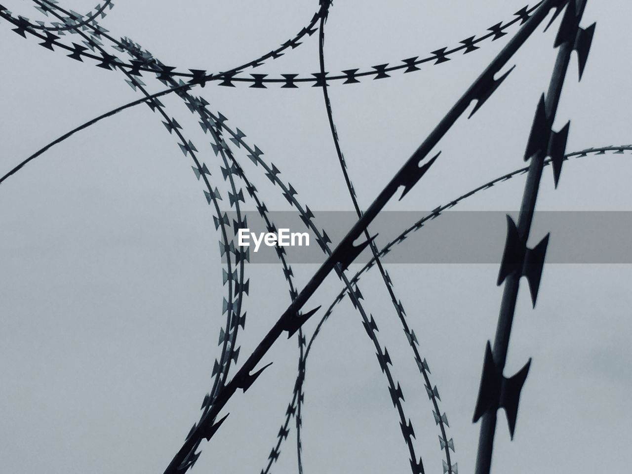 Low angle view of razor wires against clear sky