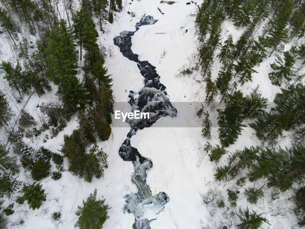 HIGH ANGLE VIEW OF SNOW COVERED TREES ON LAND
