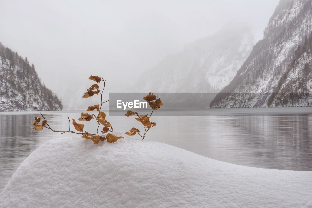 Scenic view of lake by snowcapped mountains during winter