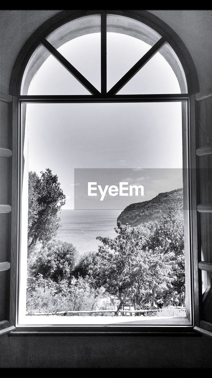 TREES AND PLANTS SEEN THROUGH WINDOW AGAINST SKY