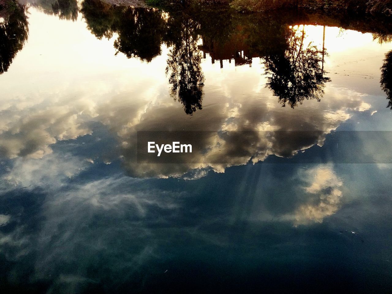 REFLECTION OF TREES IN WATER