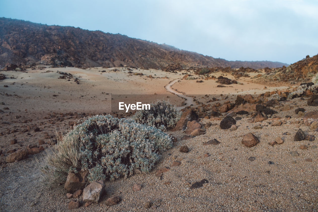 Scenic view of desert against sky