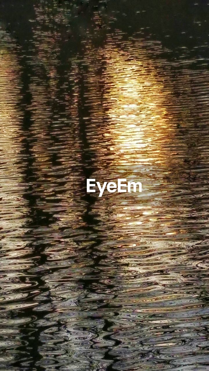 REFLECTION OF TREES IN WATER