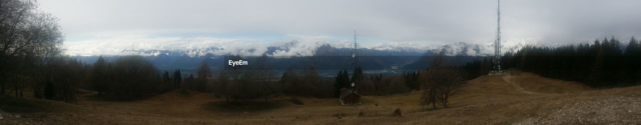 PANORAMIC SHOT OF TREES AGAINST SKY DURING WINTER
