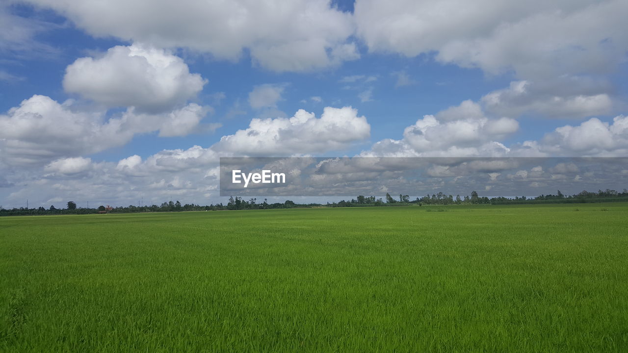 GREEN FIELD AGAINST CLOUDY SKY