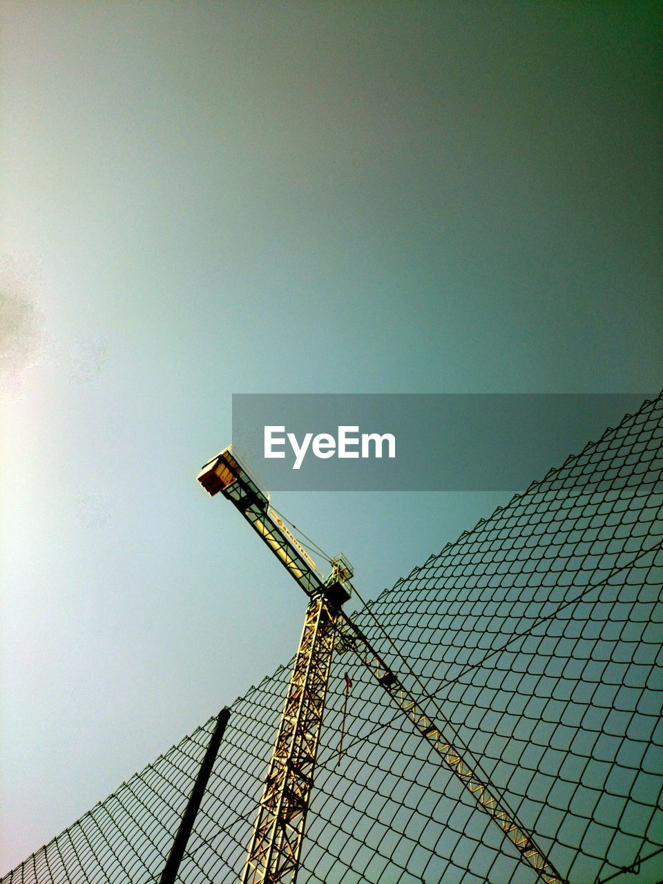 LOW ANGLE VIEW OF TREE AGAINST SKY