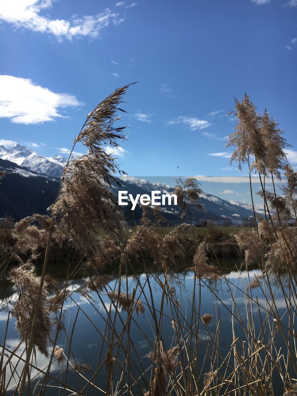Scenic view of landscape against cloudy sky