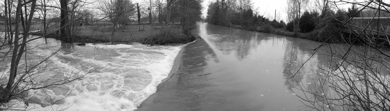 RIVER AMIDST BARE TREES IN WINTER