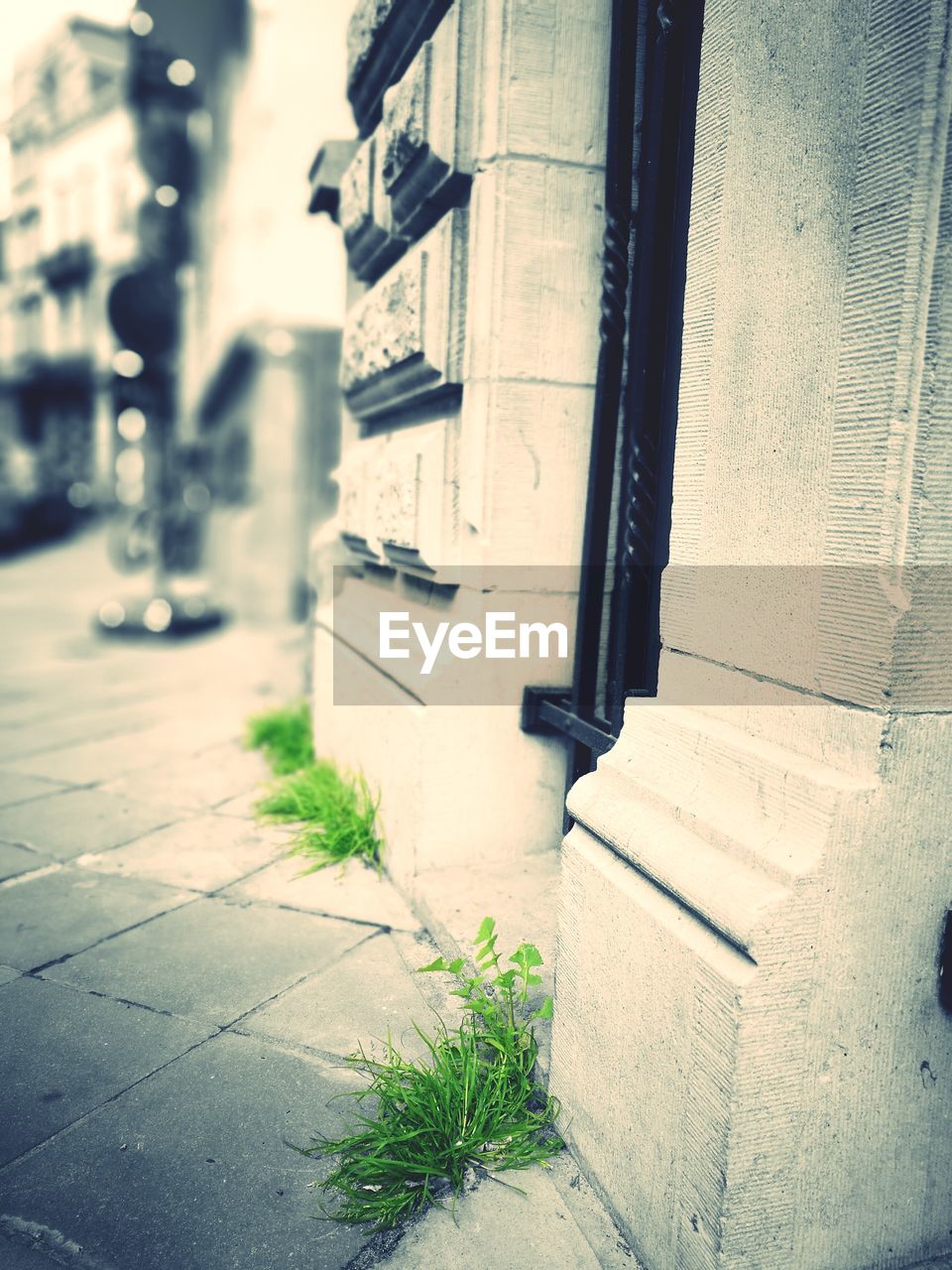 ALLEY AMIDST BUILDINGS