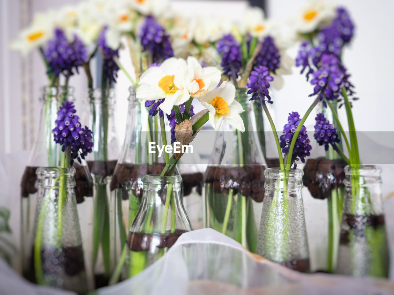 Close-up of flowers in bottles