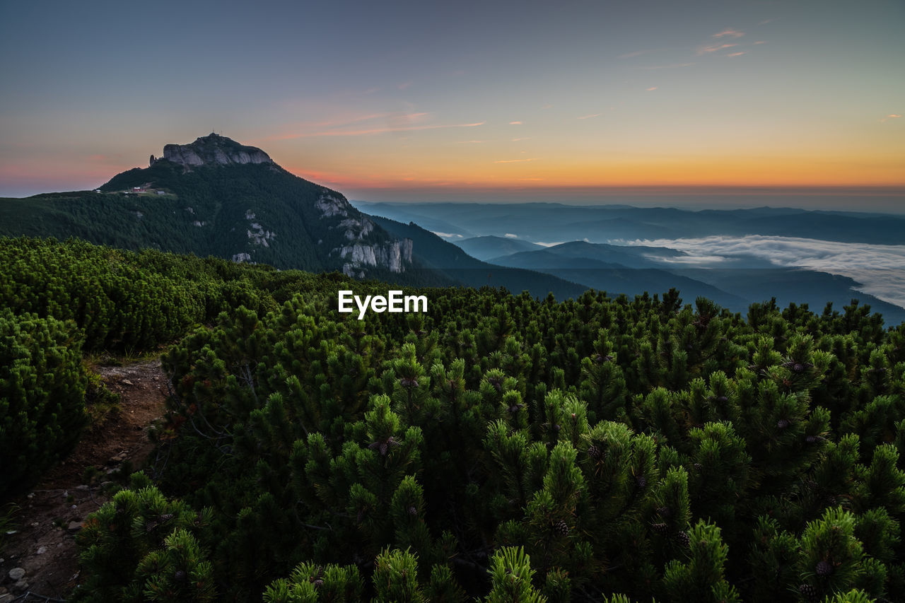 Scenic view of landscape against sky during sunset