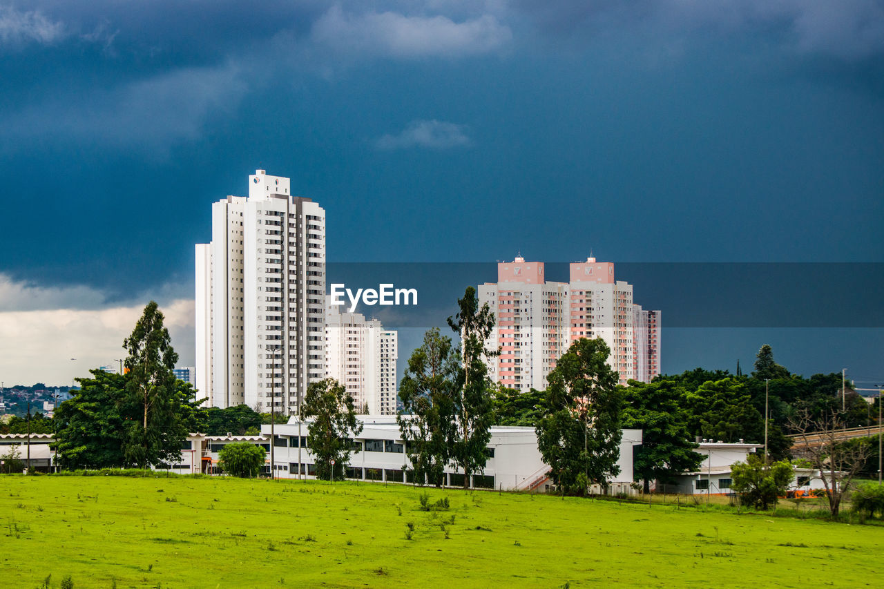 Trees and buildings against sky