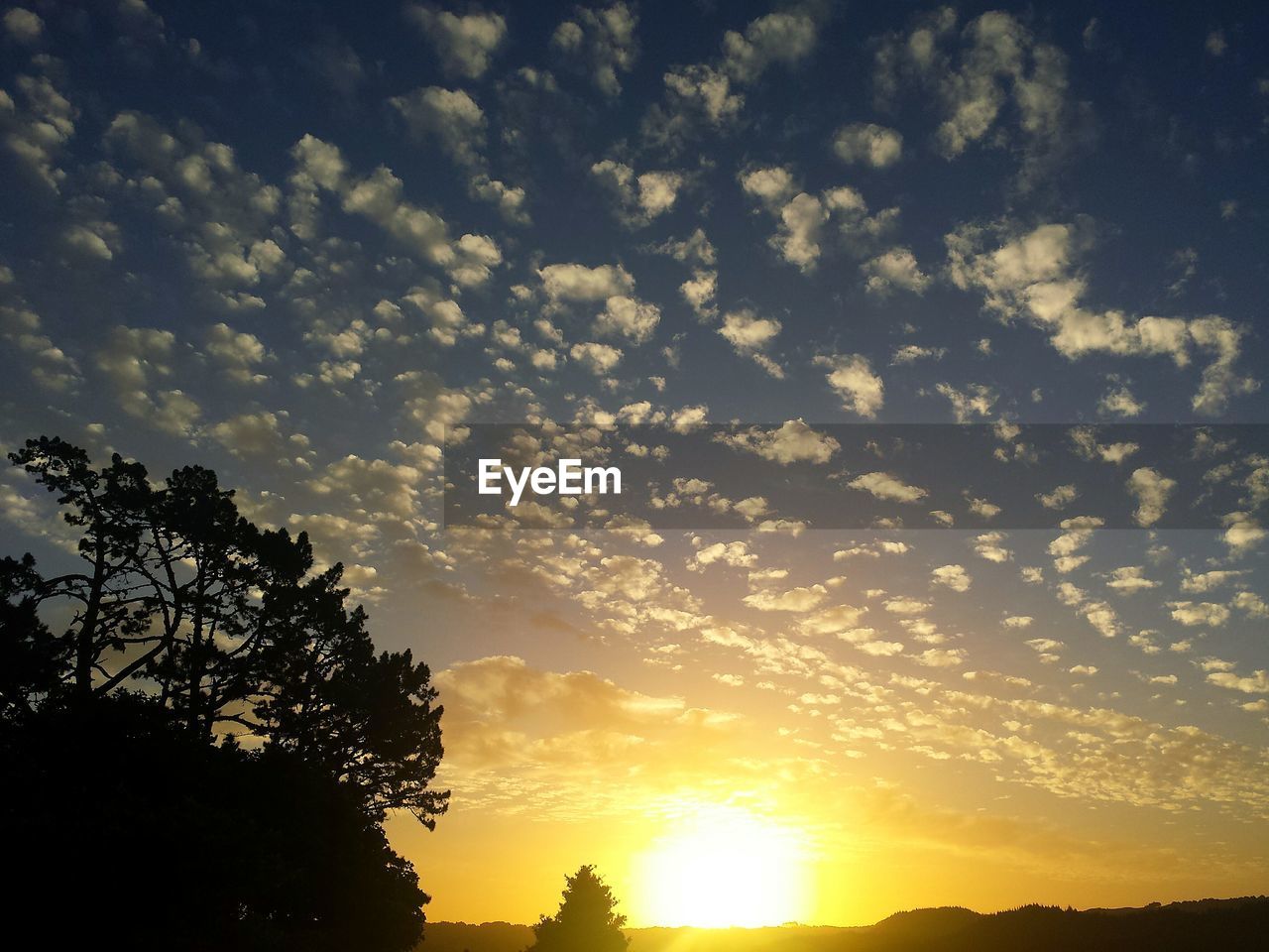 Low angle view of silhouette trees against sky during sunset