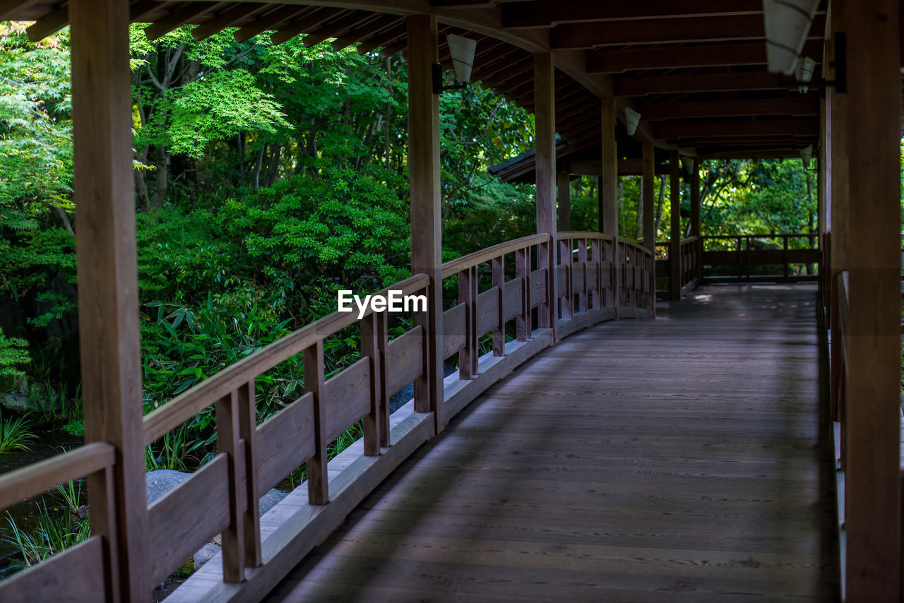 BRIDGE IN PARK