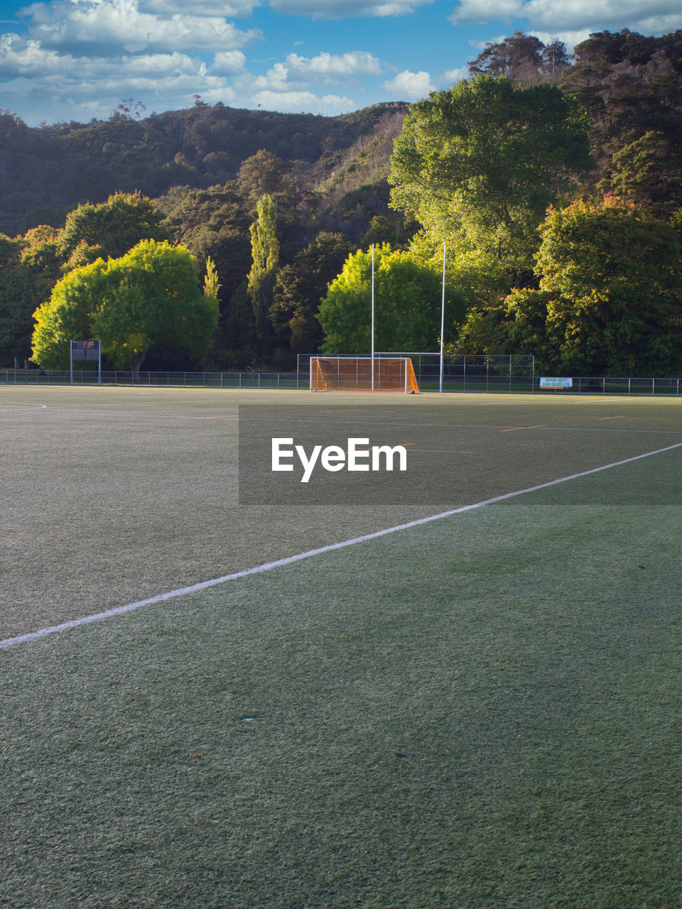 Soccer field artificial turf and goal