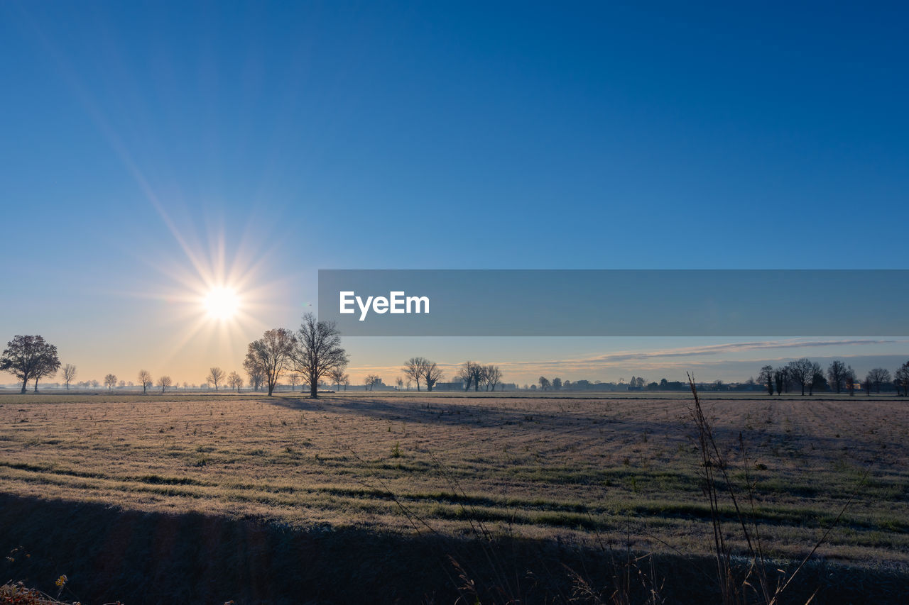 SCENIC VIEW OF FIELD AGAINST BLUE SKY