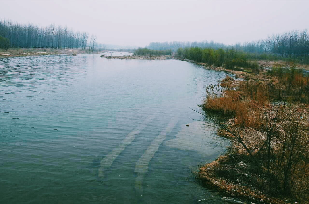 Scenic view of calm sea