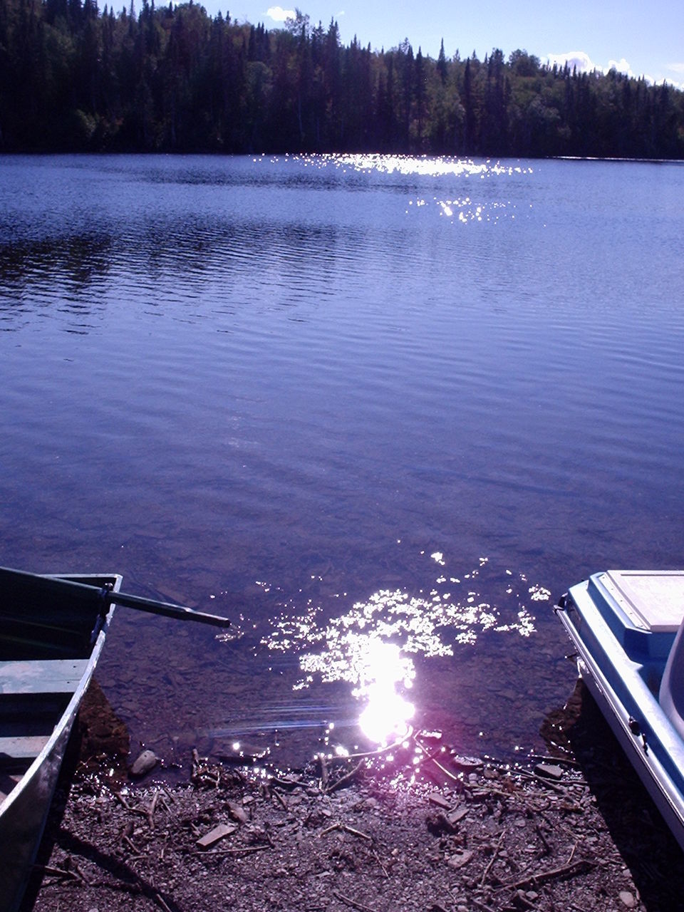 HIGH ANGLE VIEW OF LAKE AMIDST TREES AGAINST SKY