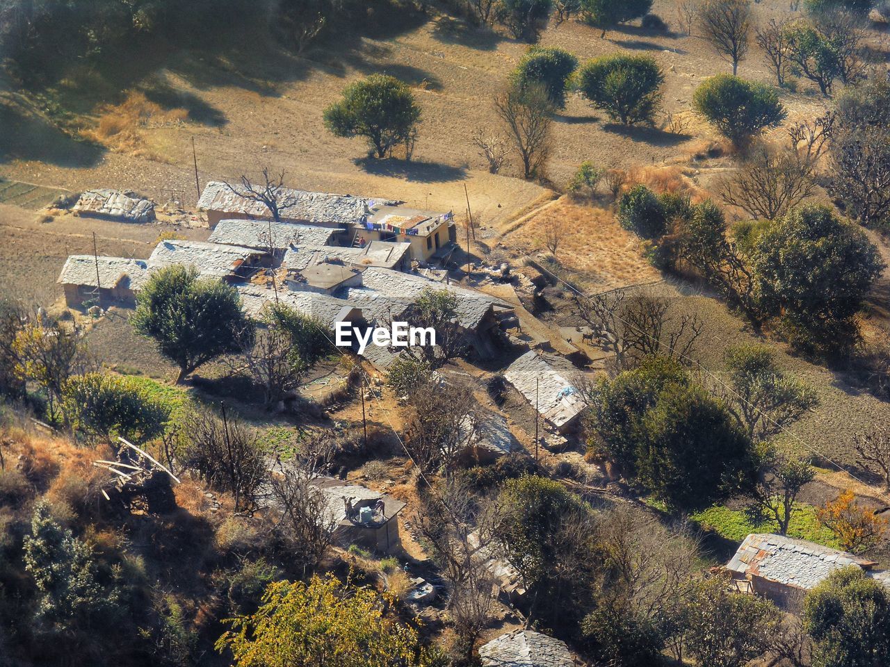 HIGH ANGLE VIEW OF TREES AND BUILDINGS